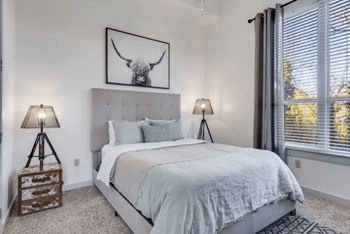 Plush carpeting in bedrooms